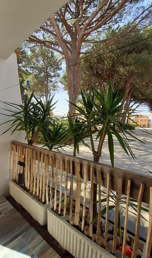 T2-3 Cabine Les Yuccas 200 M Plage Du Boucanet Rive Droite Grau Du Roi Ideal 2-4 Pers Le Grau-du-Roi Exterior photo
