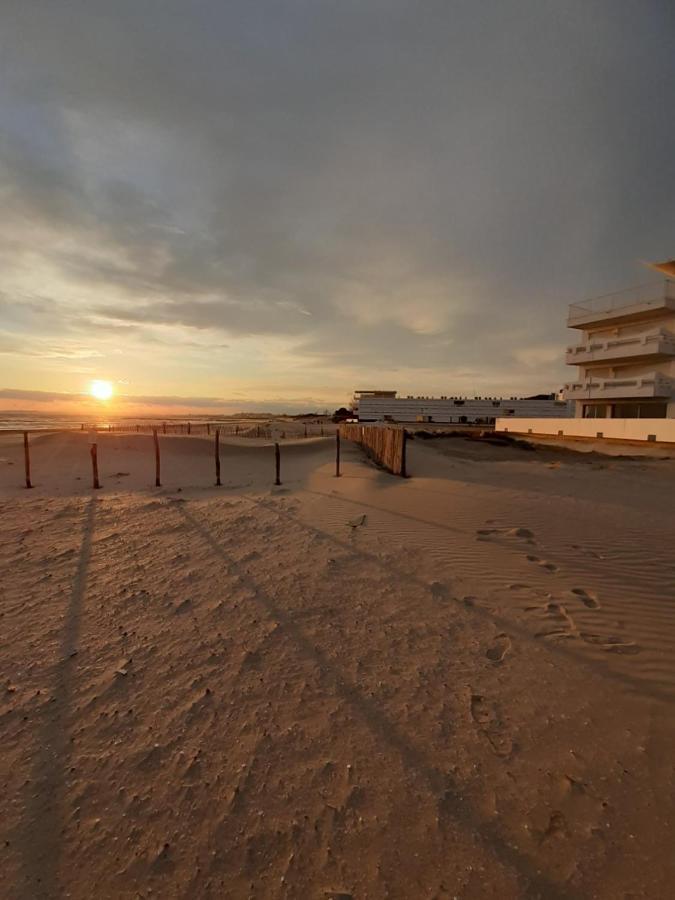 T2-3 Cabine Les Yuccas 200 M Plage Du Boucanet Rive Droite Grau Du Roi Ideal 2-4 Pers Le Grau-du-Roi Exterior photo